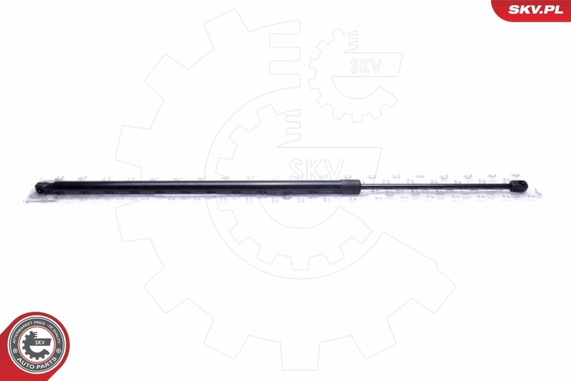 Gas Spring, boot/cargo area